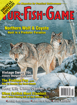 d-januarycover2013.jpg