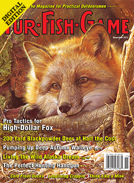 d-novembercover2013.jpg