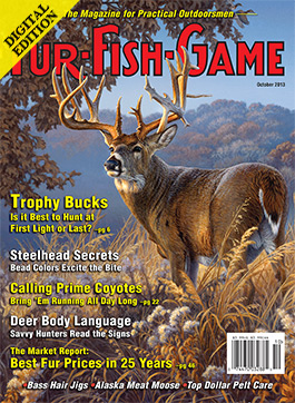 d-octobercover2013.jpg