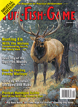 d-septembercover2013.jpg