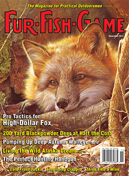 novembercover2013.jpg