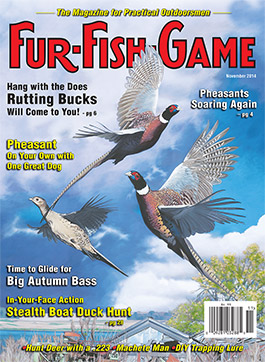 novembercover2014.jpg