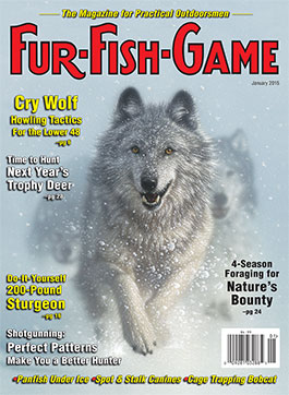 januarycover2015.jpg