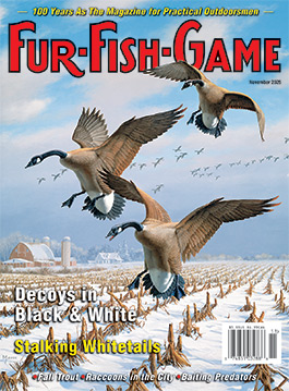 novembercover2025