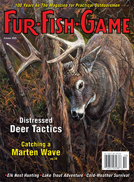 octobercover2025