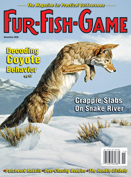 novembercover2026