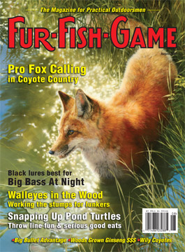 BackIssues/AugustCover2007.jpg