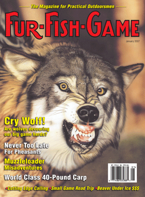 JanuaryCover2007.gif