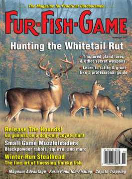 BackIssues/NovemberCover2007.jpg