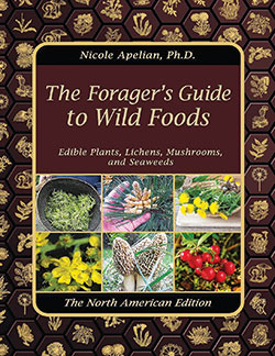 Foragers-Guide-Cover