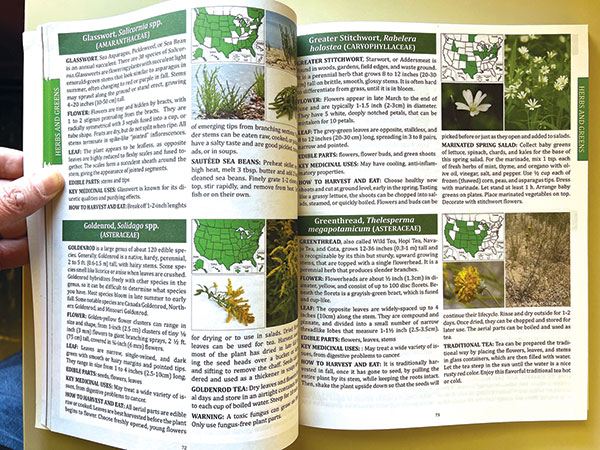Foragers-Guide-Inside